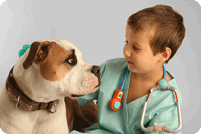 Animal Medical Center Welcome to ePet Health!