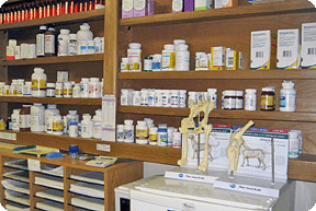 Pet Rx Refills Photo