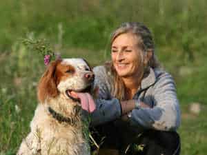 Microchip Services -