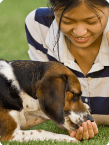 Pet Resources, Ask Your Vet! -
